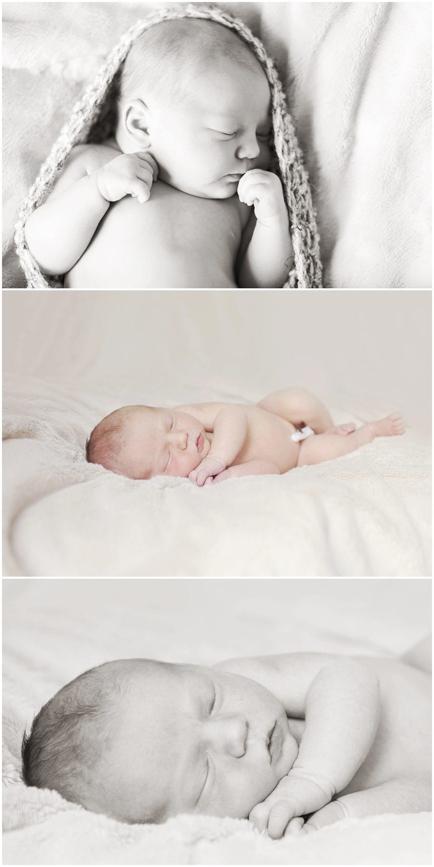 swansea newborn photographer