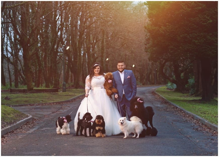 dogs at wedding