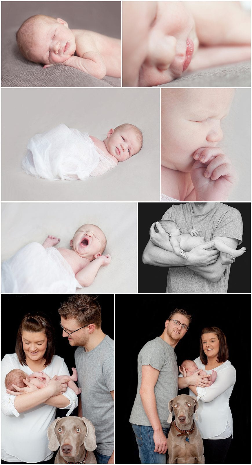 swansea newborn photographer