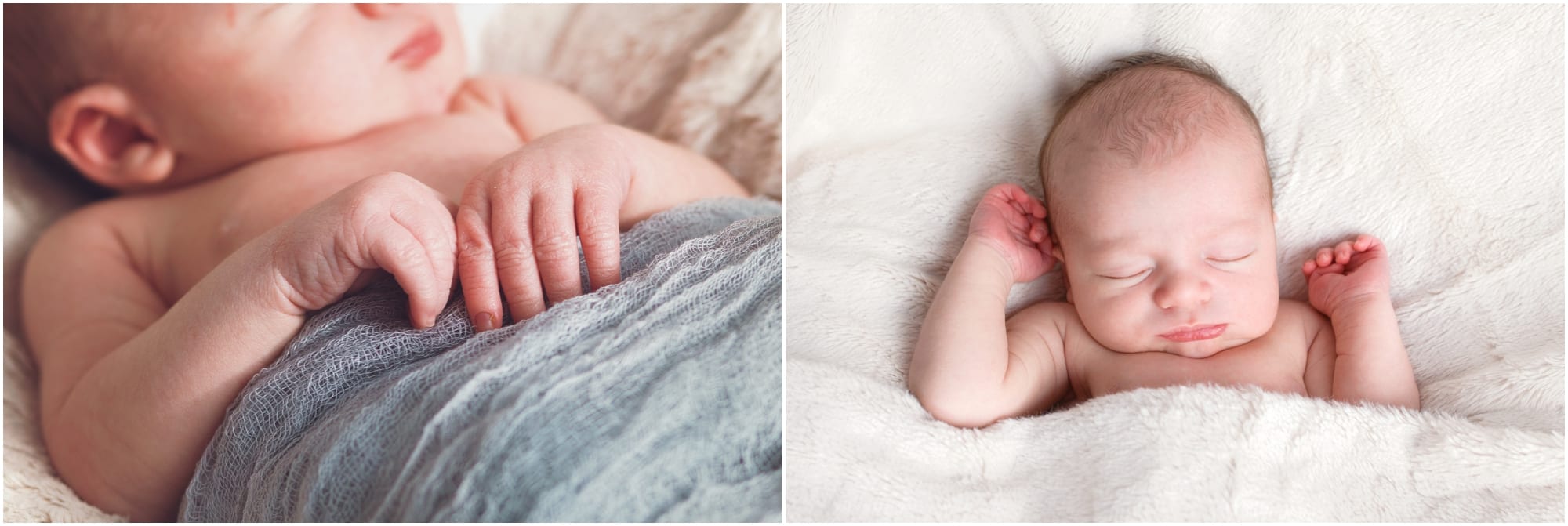 Newborn Photographer Swansea